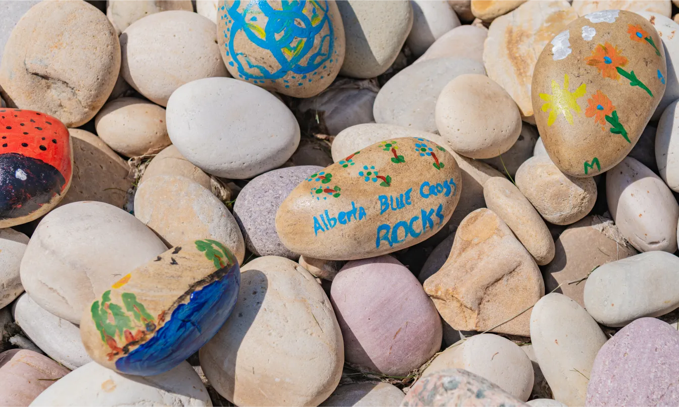 A variety of painted rocks with different designs; one reads “Alberta Blue Cross rocks.”